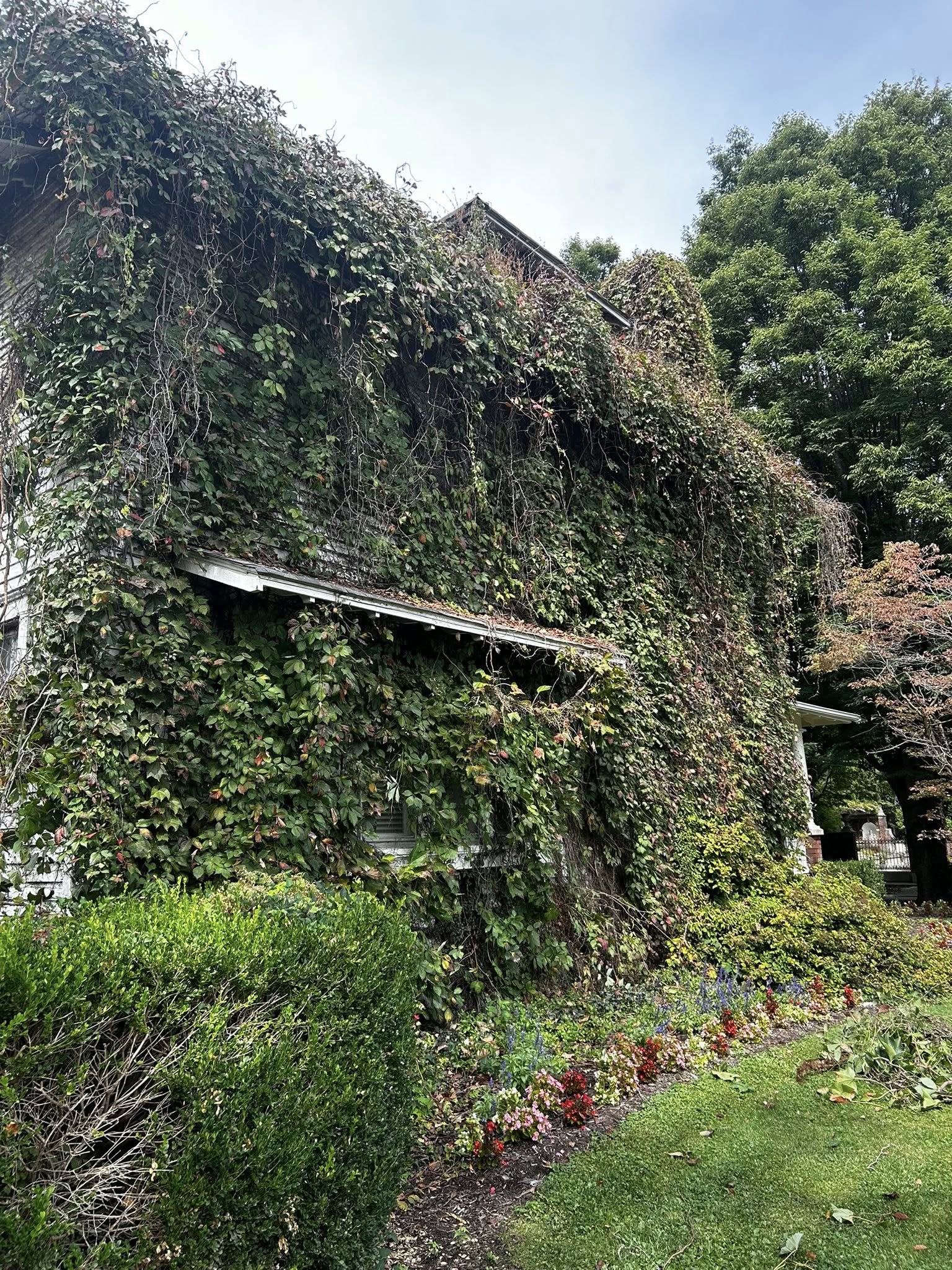 Step 1 — Home covered in ivy