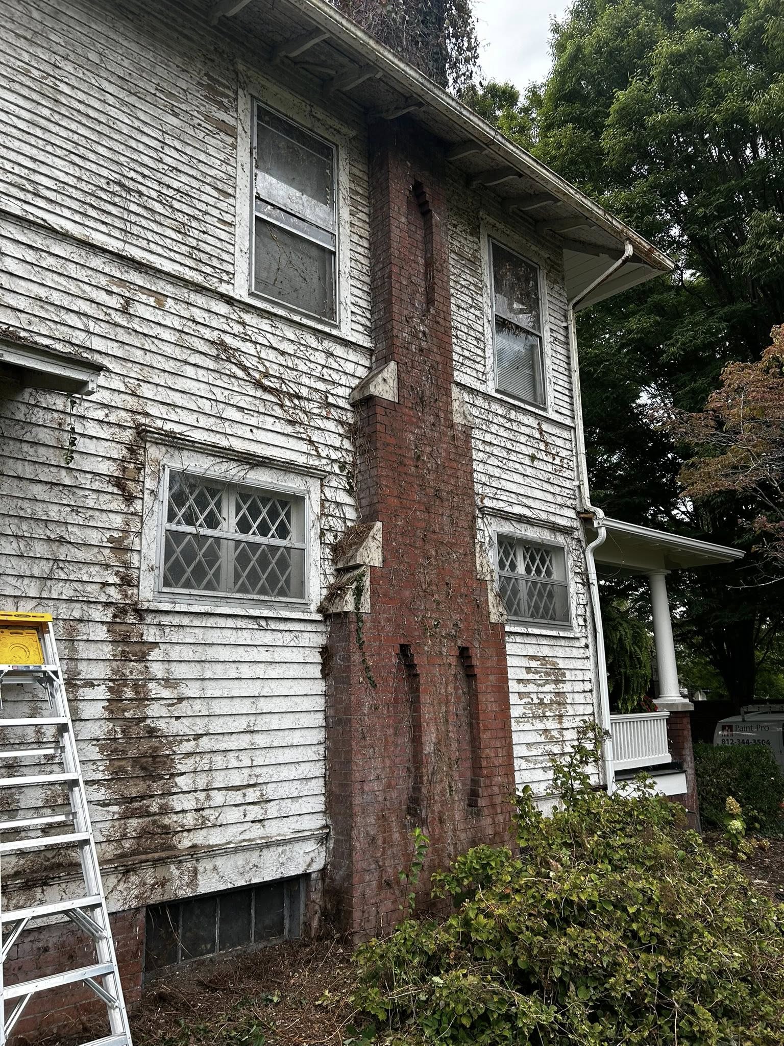 Step 2 — After ivy removal